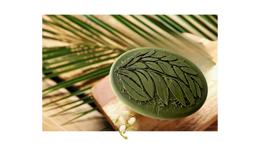 Top-Benefits-of-Extra-Virgin-Olive-Oil-Soap-for-Healthy-Skin Carthago Oil